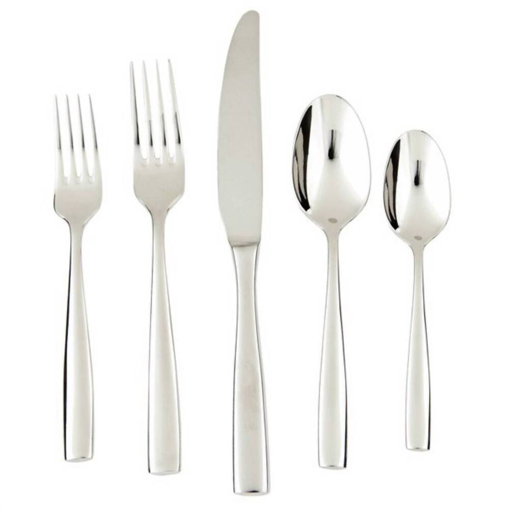 NEW FORTESSA lucca flatware - set of 20 in silver